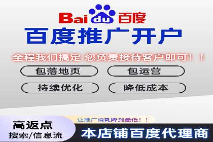 某品牌SEM推广代运营的实践与效果评估